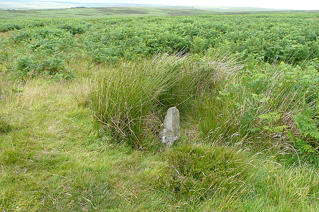 File:Boundary stone north of Alderman's Barrow - geograph.org.uk - 1986381.jpg