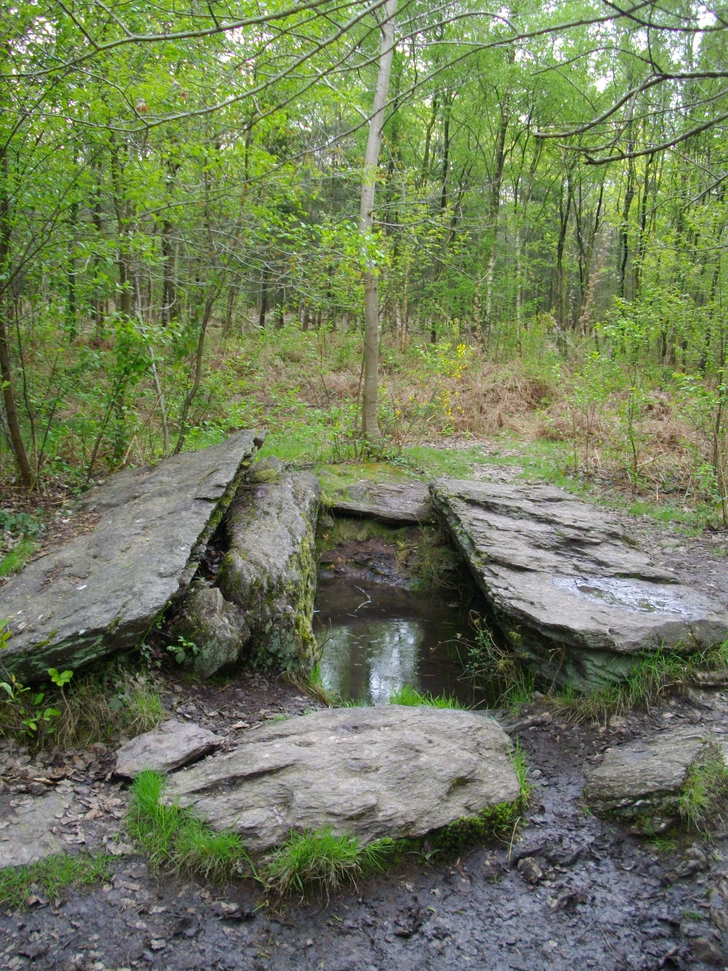 Le Tombeau du Géant  France Bretagne Morbihan Campénéac 56800