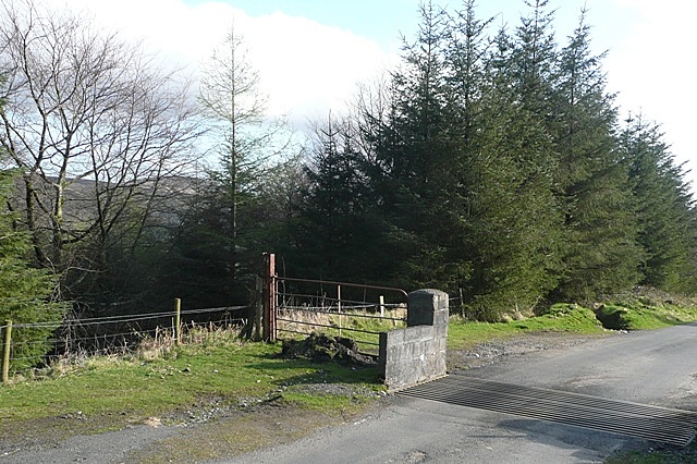 Cattle grid on the South Leinster Way - geograph.org.uk - 1254425