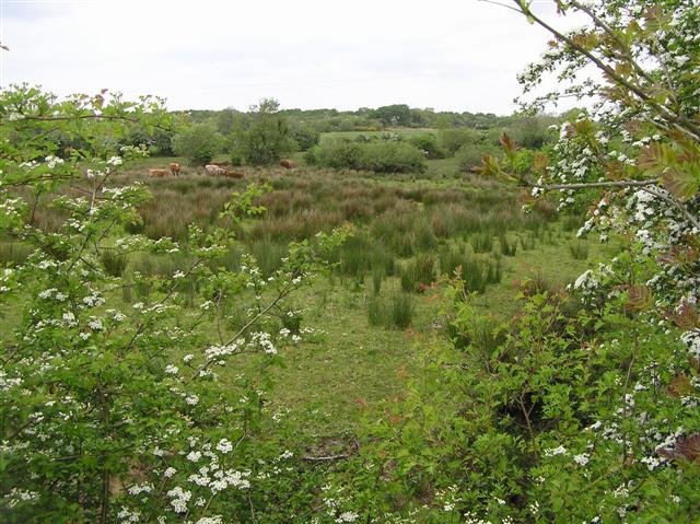 File:Derrynacross Townland - geograph.org.uk - 810649.jpg