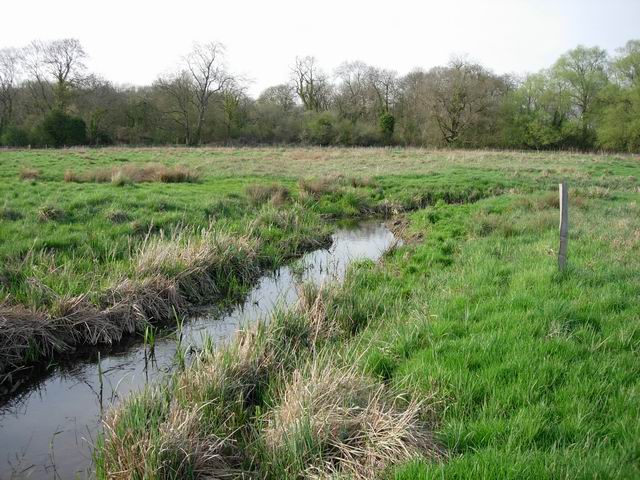 Ditch in Itchen Valley Country Park - geograph.org.uk - 157006