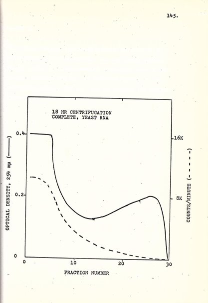 Sic Usage In Writing