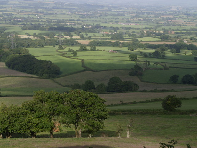 Marshwood Vale