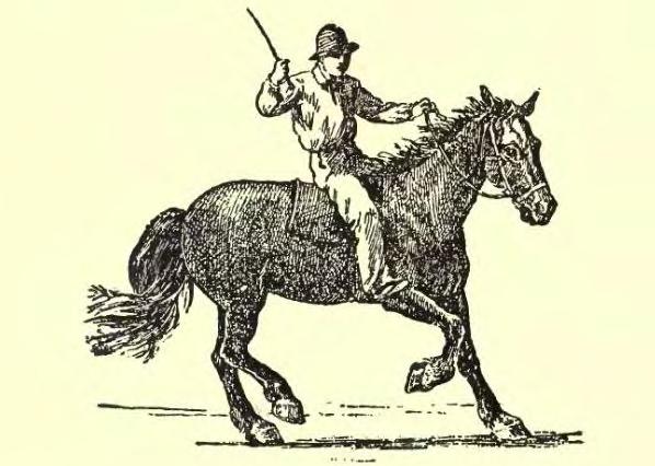 File:Equitation images fig-012.jpg