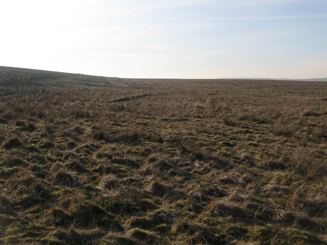 File:Hangingshields Rigg (3) - geograph.org.uk - 714807.jpg