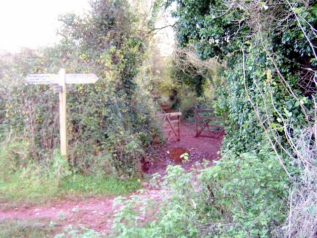 File:Horse Barton - geograph.org.uk - 1042731.jpg