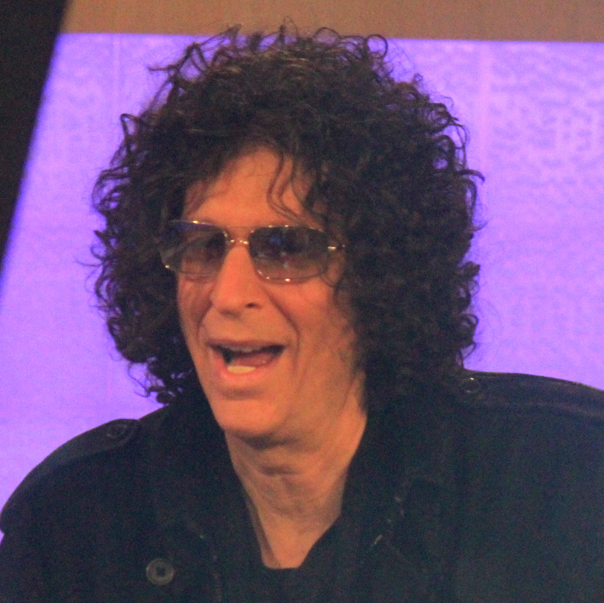 Howard Stern Sues Sirius XM Radio Over Stock Awards - WSJ