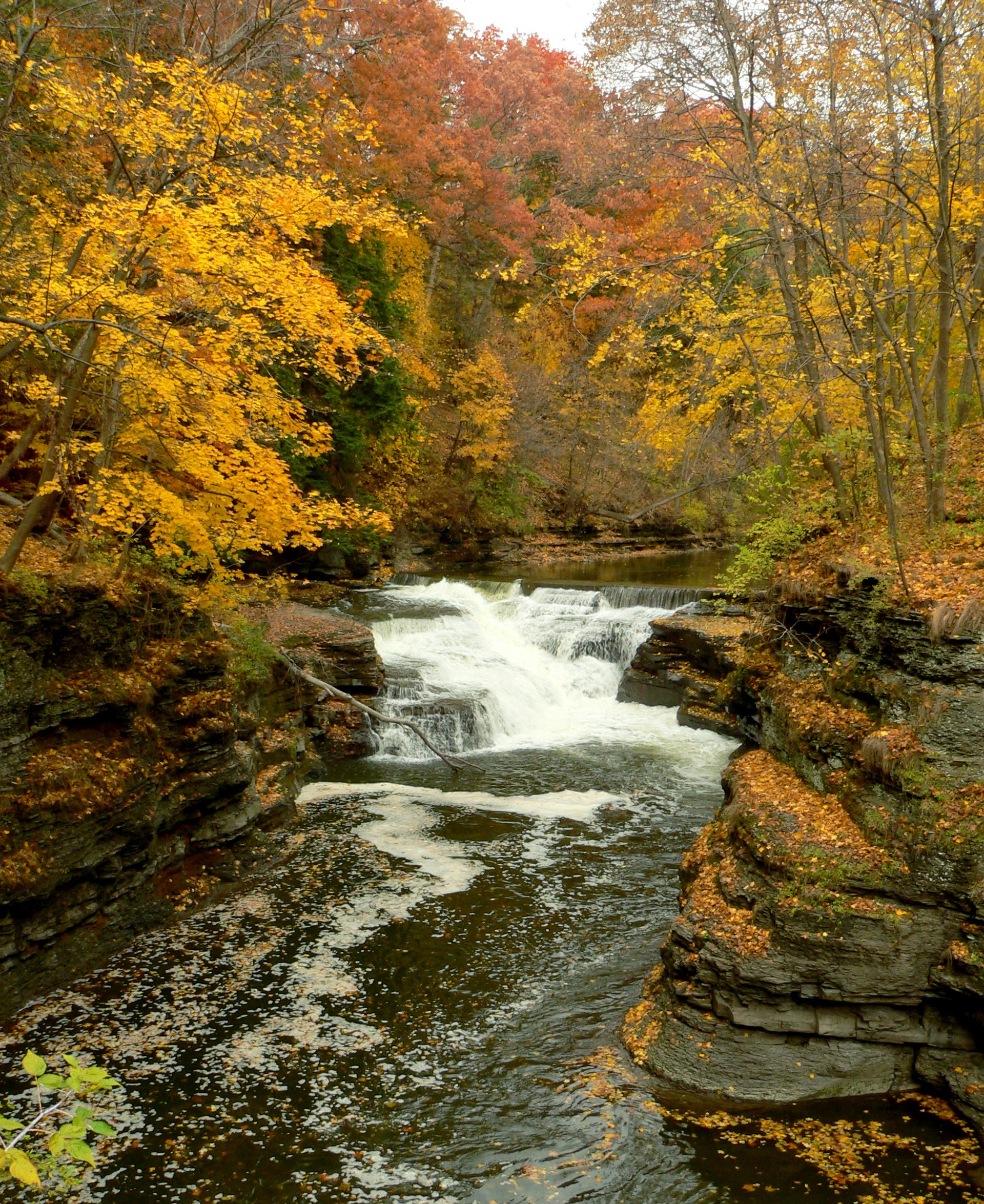 What was the climate and geography of the New York colony?