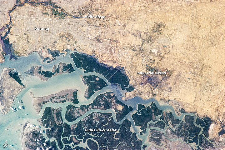 Indus River Delta - Wikipedia