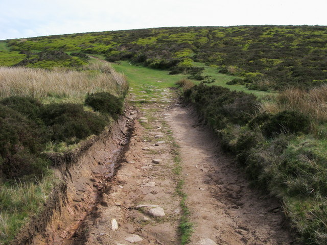 File:Offa's Dyke Path - geograph.org.uk - 817753.jpg