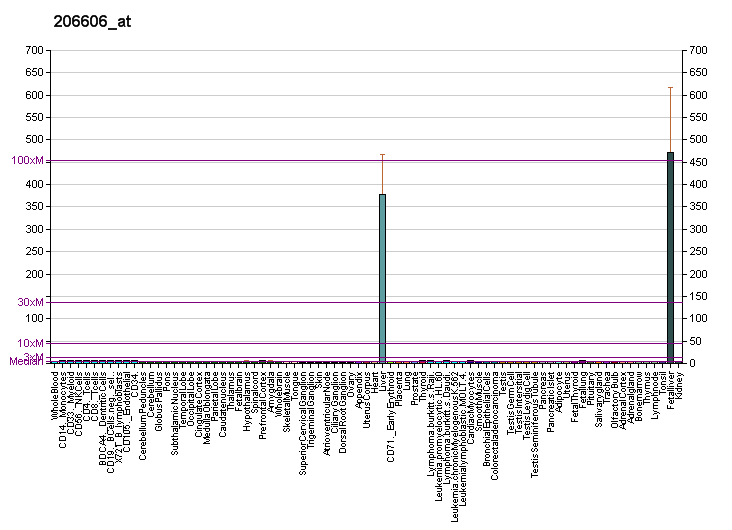 File:PBB GE LIPC 206606 at fs.png