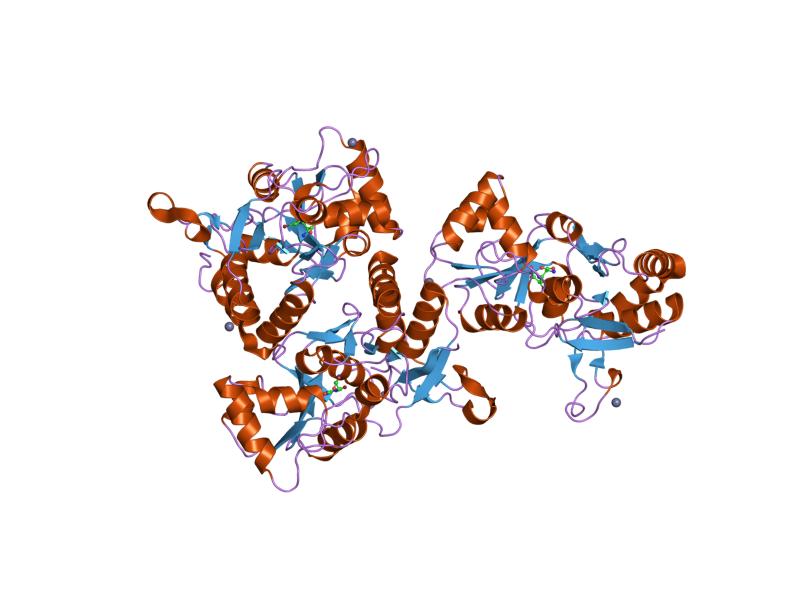 File:PDB 1mxu EBI.jpg