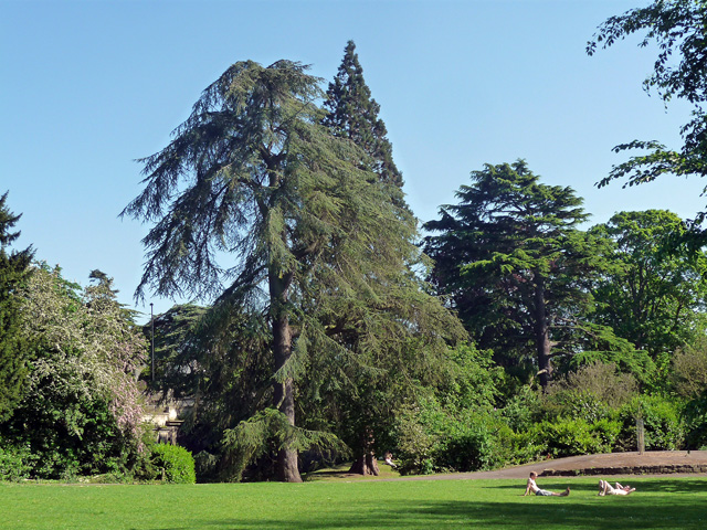 Sydney Gardens, Bath (geograph 3829585)