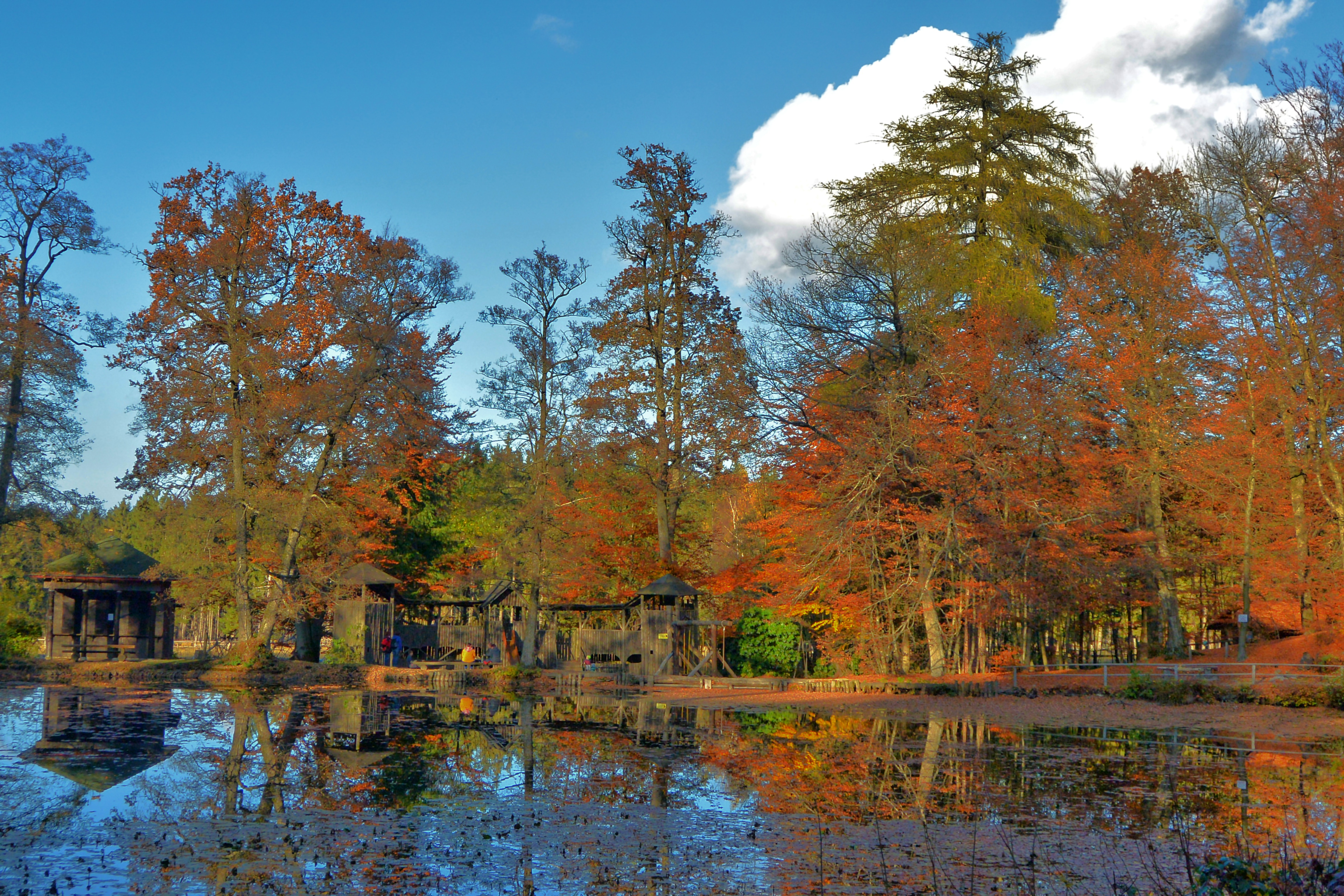 File Teich Englischer Garten Eulbach Jpg Wikimedia Commons