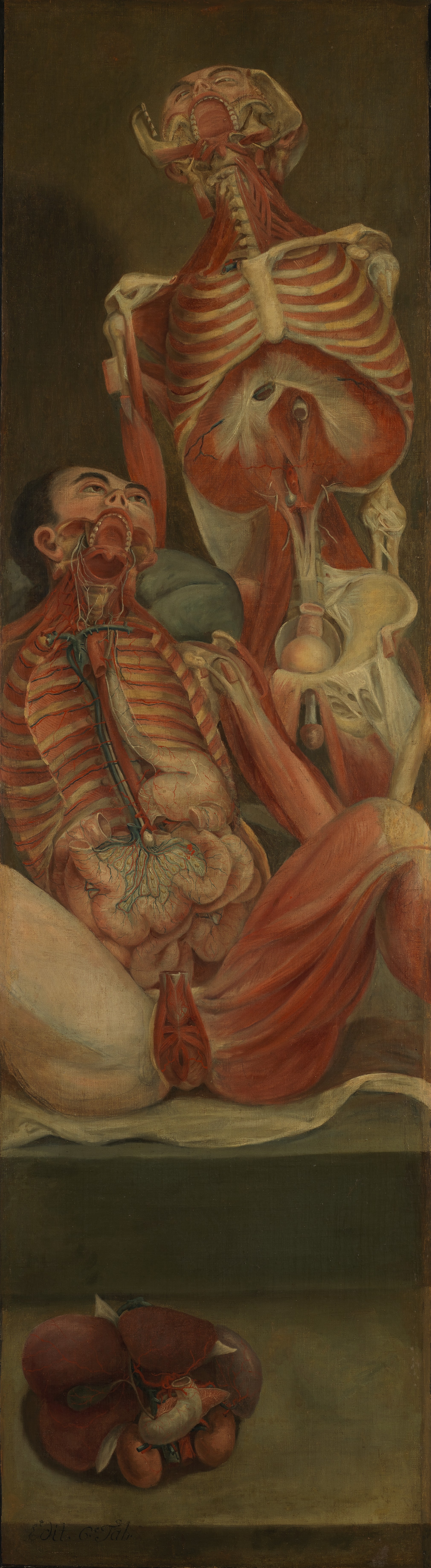 "Two dissected men, one seated, the other standing behind, with a separate section of viscera. Oil painting by Jacques-Fabien Gautier D'Agoty, 1764/1765."