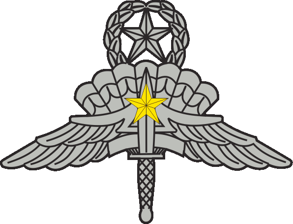 File:US Military Master Freefall Parachutist Badge with gold Combat Jump Device.png