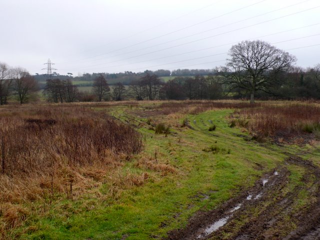 File:Waterlogged Field - geograph.org.uk - 1671687.jpg