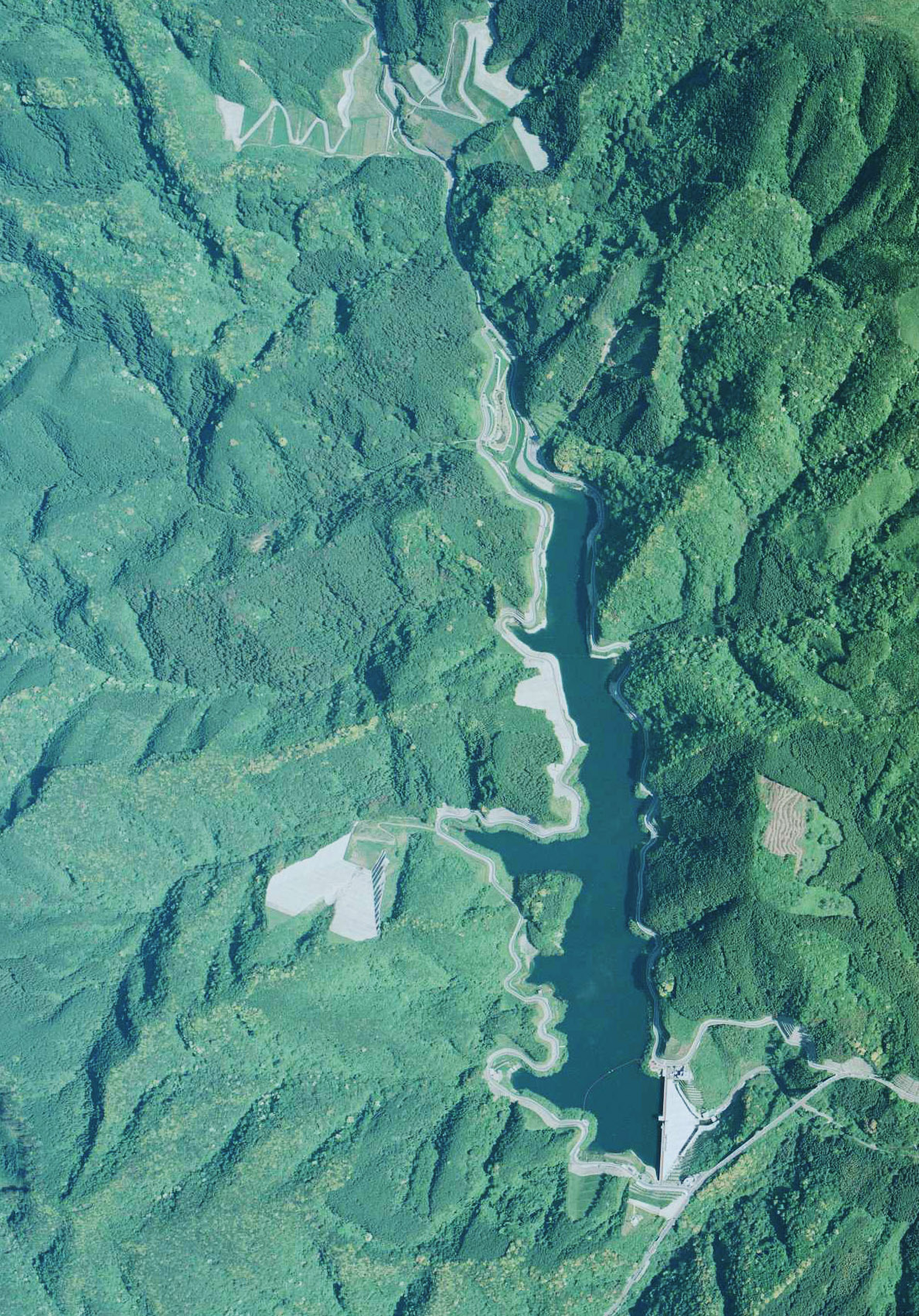 犬鳴 村 トンネル ロケ 地