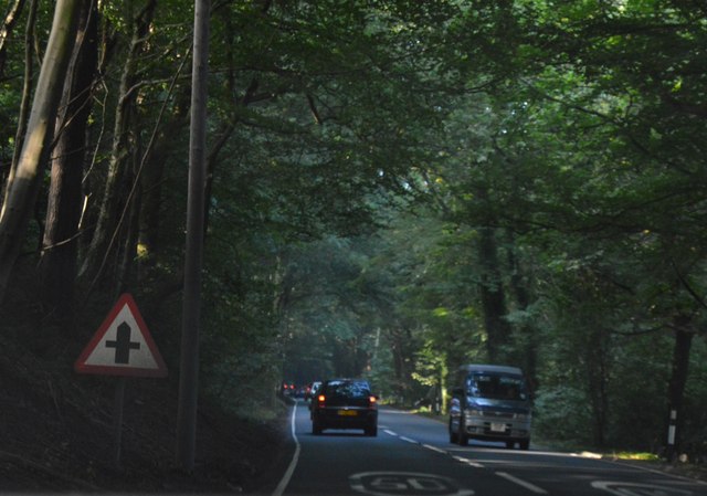 File:A30 through trees - geograph.org.uk - 4757234.jpg