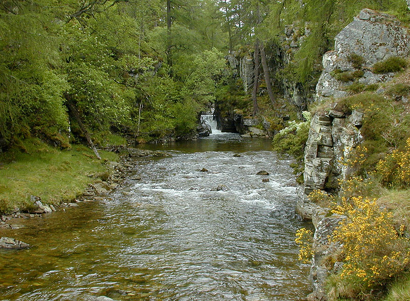 File:Below the Linn of Quoich - geograph.org.uk - 598255.jpg