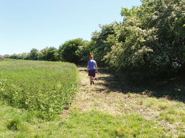 Bridleway and county boundary on Muswell Hill, near Brill - geograph.org.uk - 180079