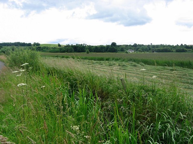 File:Ditch, Station Road, Bannockburn - geograph.org.uk - 25781.jpg