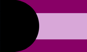 File:Drapeau variorienté.png