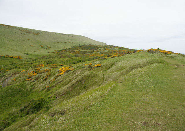 File:East of Lulworth Cove - geograph.org.uk - 1355838.jpg