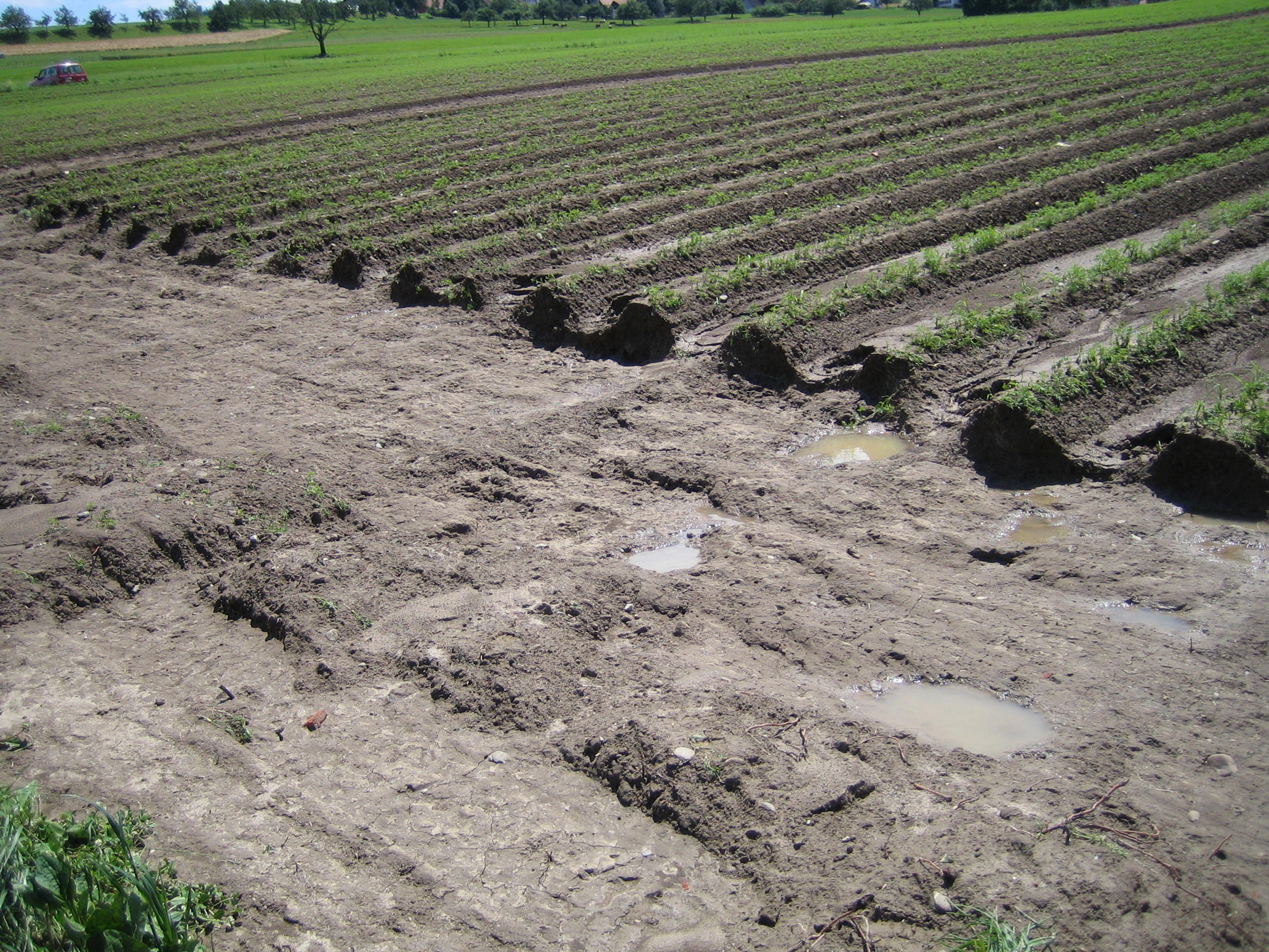 Erosion and water contamination from agricultural runoff cause huge problems around the US and the world each year. 