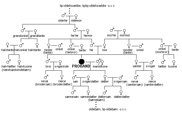 Træ over relationer i familie