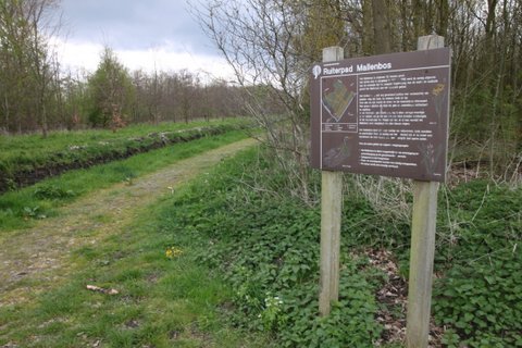 File:Het ruiterpad in het mallebos.JPG