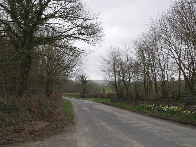 File:Lane near East Rowden - geograph.org.uk - 369087.jpg