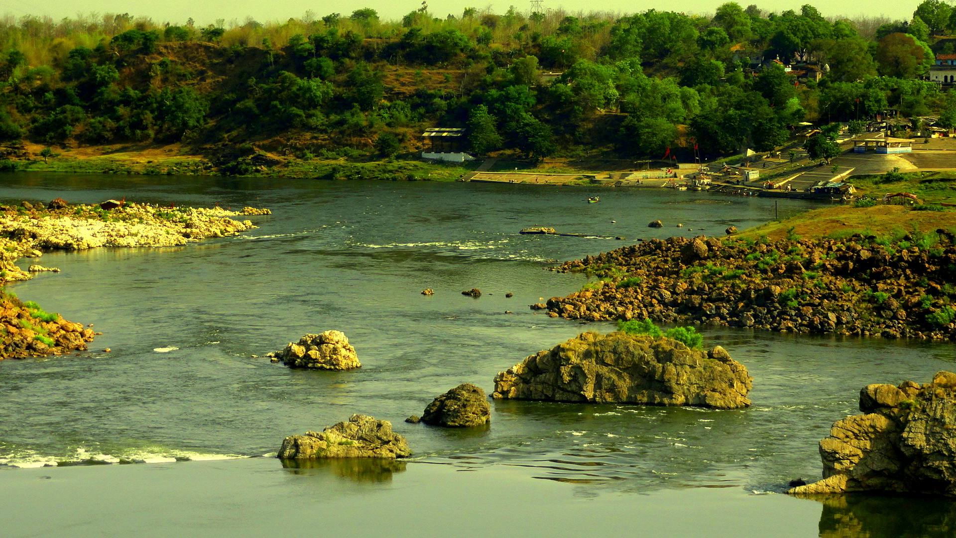 narmada river birth place