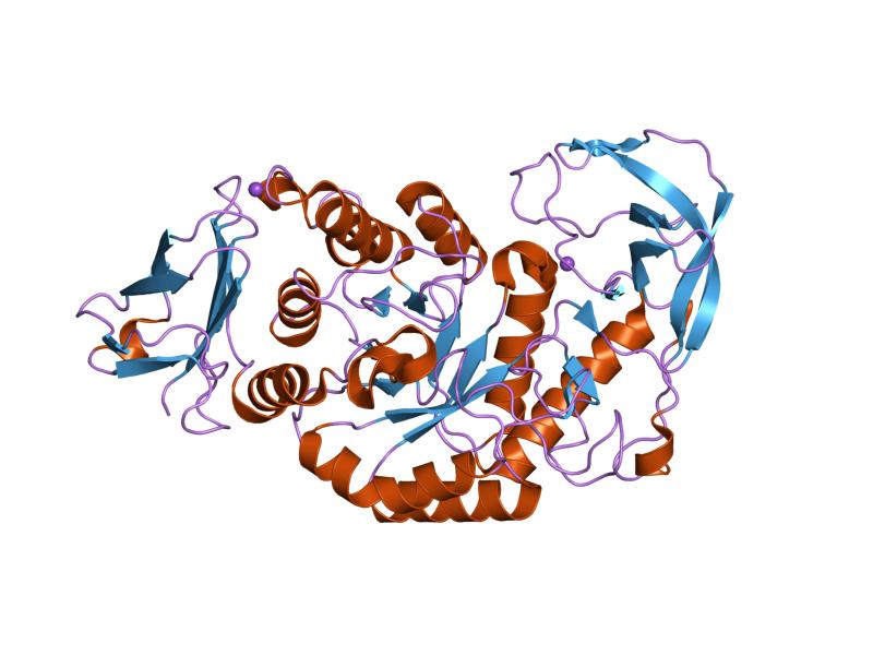 File:PDB 1ud4 EBI.jpg