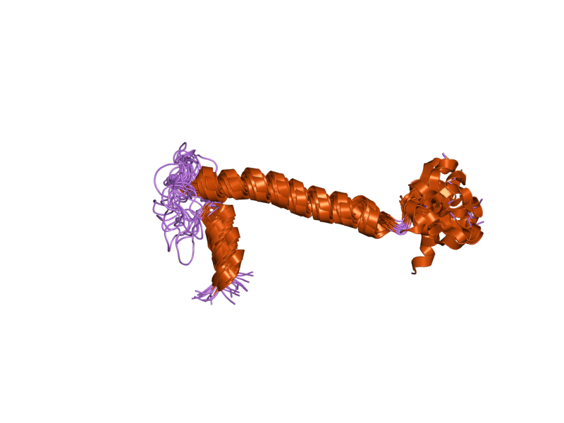 File:PDB 2jo1 EBI.png