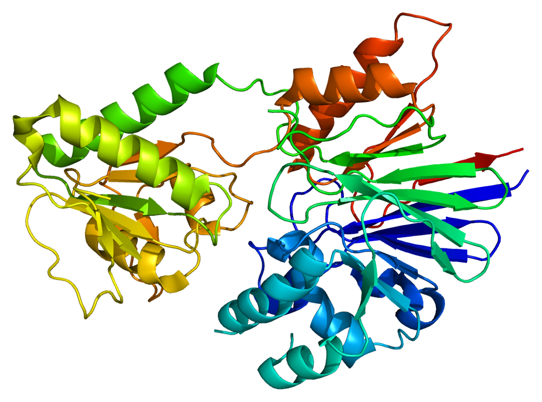 Ген белок фермент. Белок CPSF. Фермент CPSF. Ген 2. Ферменты PDB 3ldk.