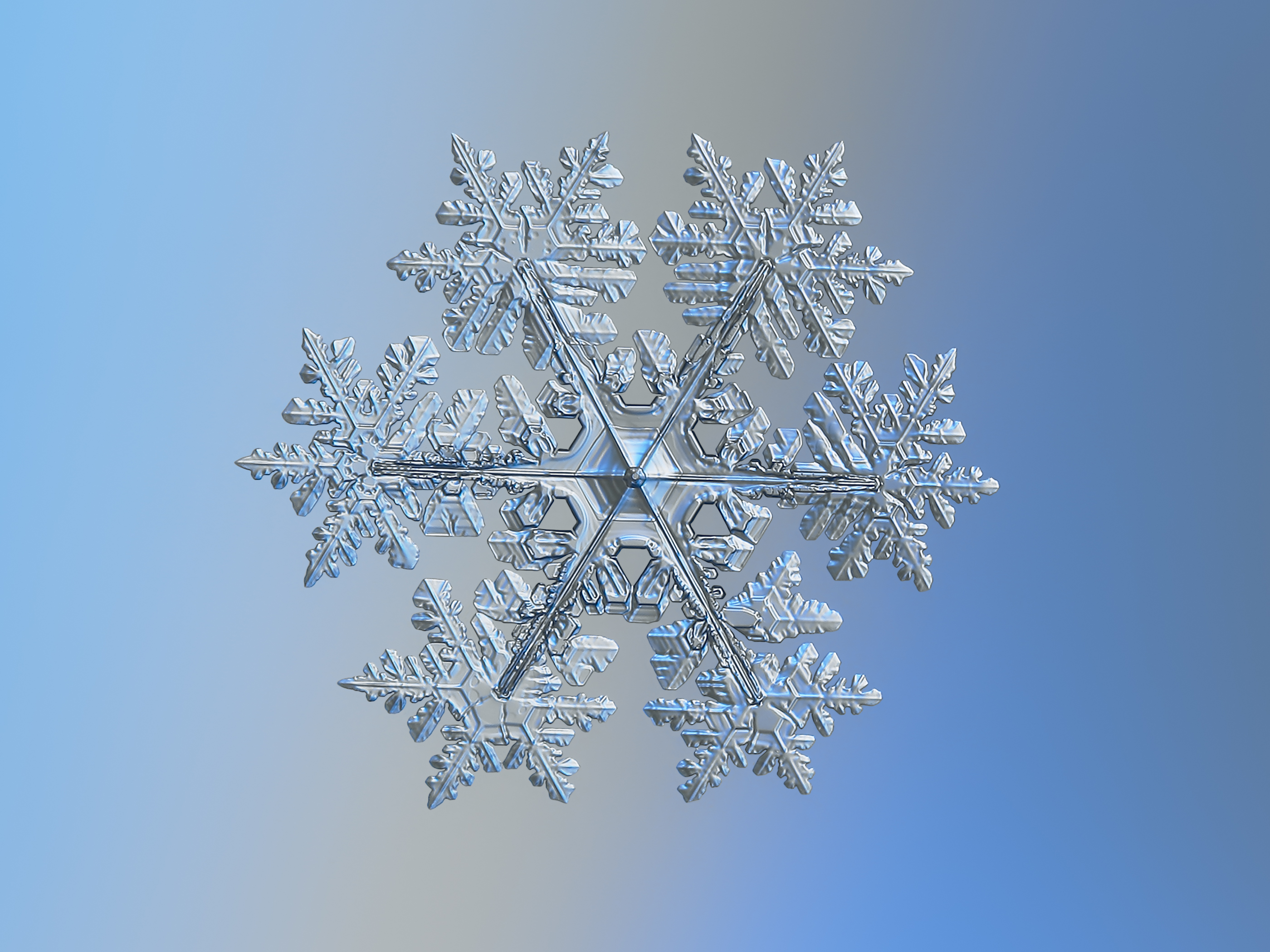 False-colour computer image of snow flakes - Stock Image - E127/0233 -  Science Photo Library