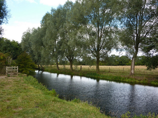 River Stour lined with willows - geograph.org.uk - 1481669