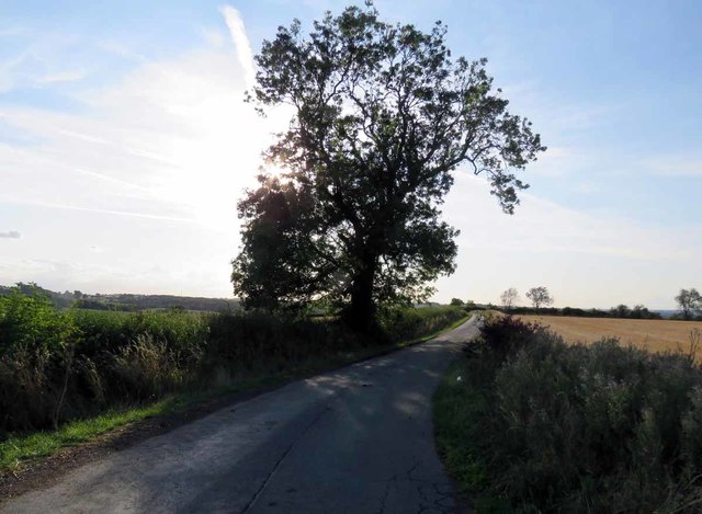 File:Road to Marefield - geograph.org.uk - 5884721.jpg