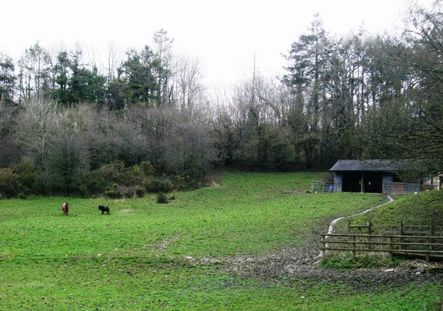 File:Roadside View - geograph.org.uk - 369118.jpg