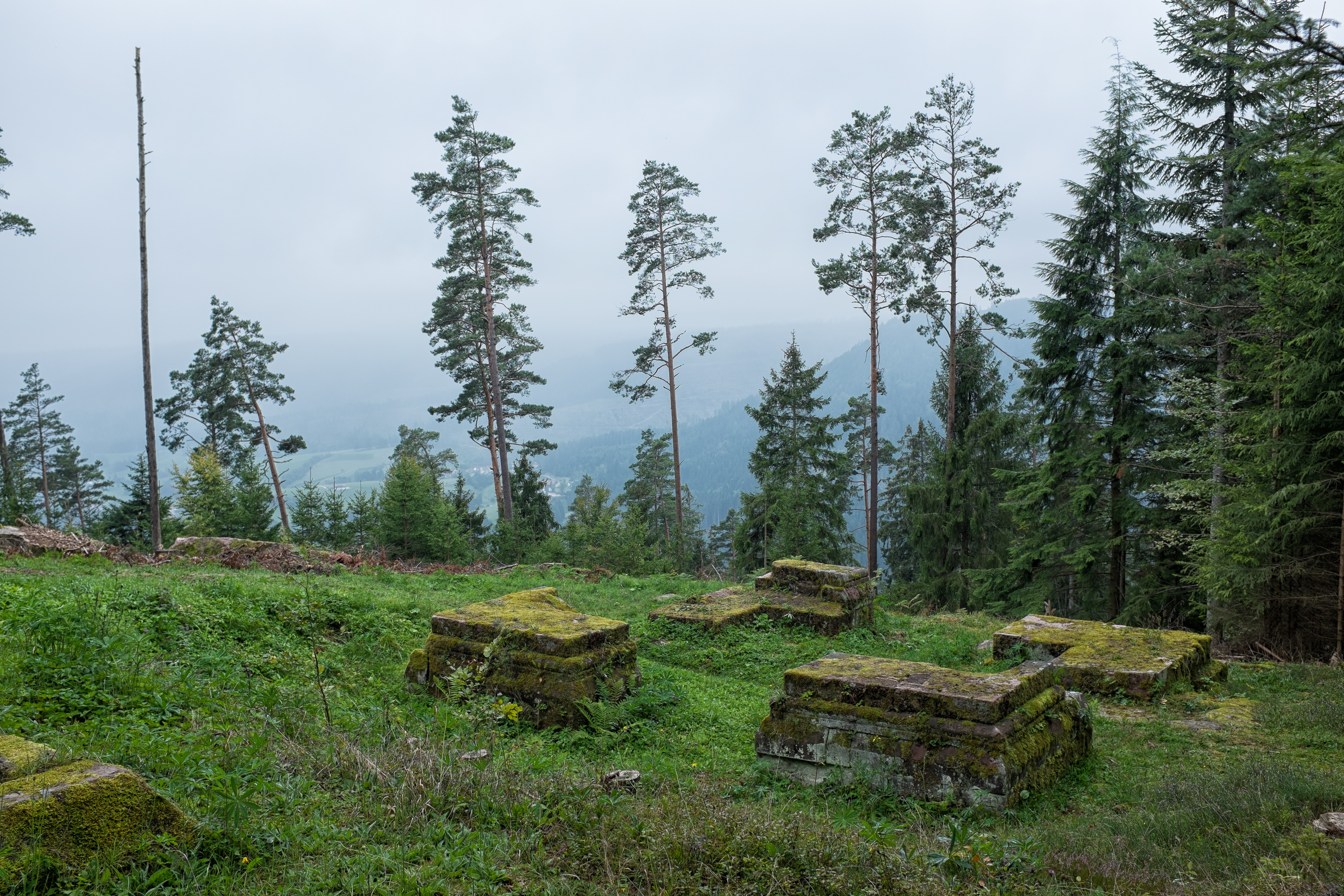 Blick über die Ruine Königswart ins Murgtal