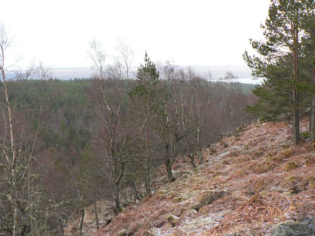 File:Slope above the Allt na Bogair - geograph.org.uk - 735358.jpg