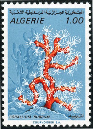 File:Stamp of Algeria - 1970 - Colnect 197098 - Red Coral Corallium rubrum.jpeg