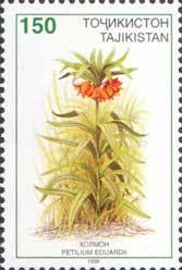 File:Stamp of Tajikistan - 1998 - Colnect 290875 - Petilium eduardii.jpeg