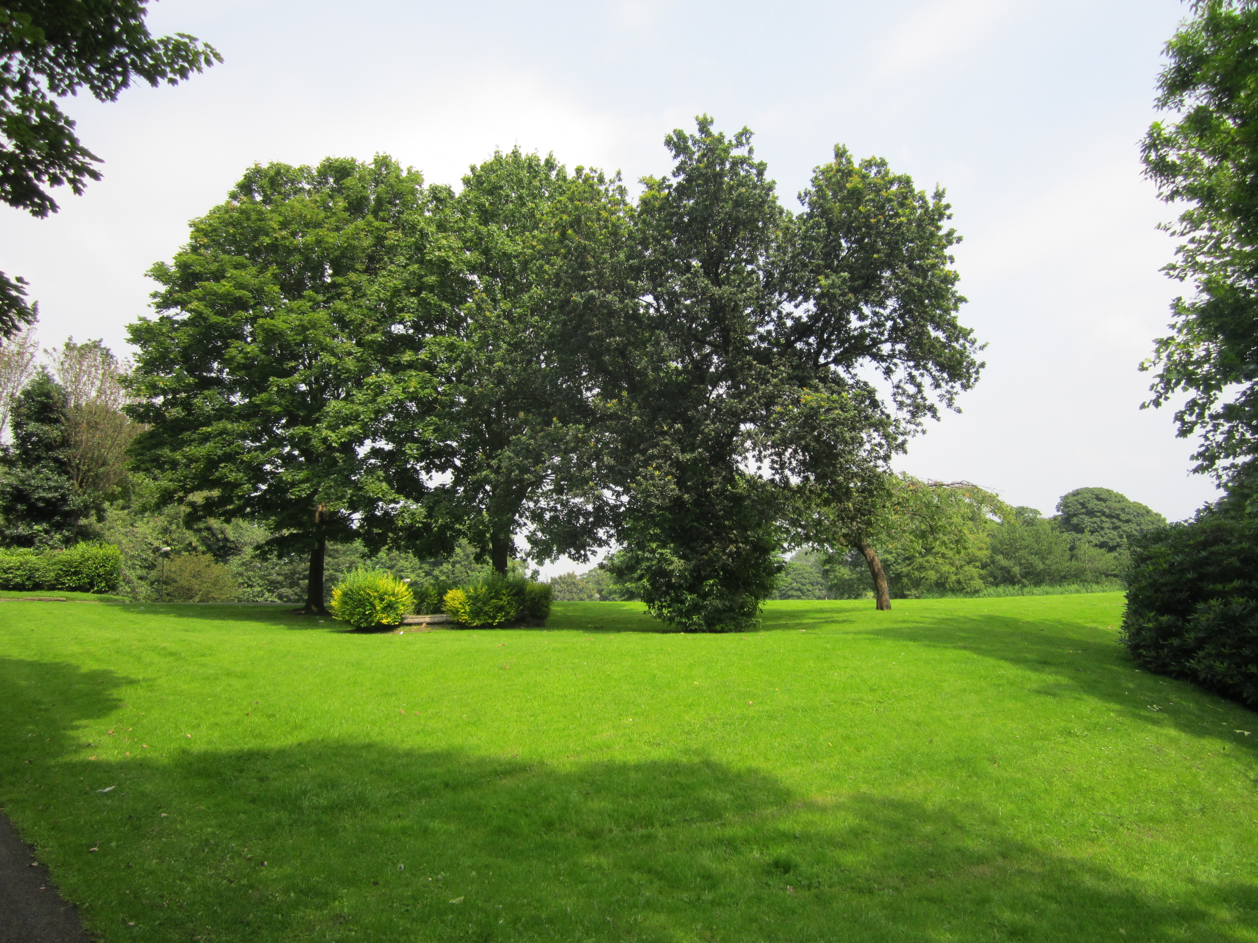 Park two. Small Heath Park.