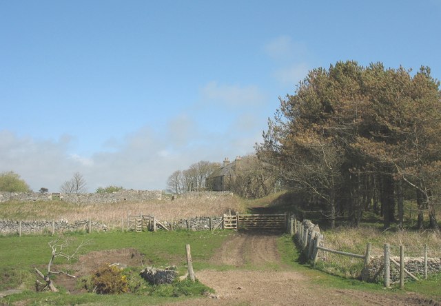 File:The Anglesey coastal path at Bont Faen - geograph.org.uk - 783567.jpg