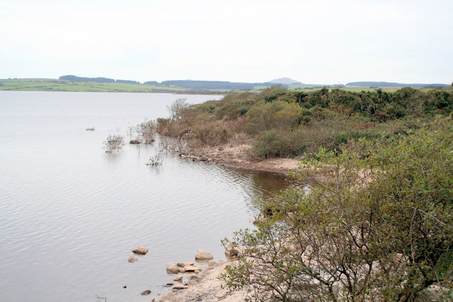 The eastern shore of Colliford Lake - geograph.org.uk - 1547449