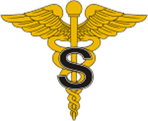 File:USA - Army Medical Specialist.png