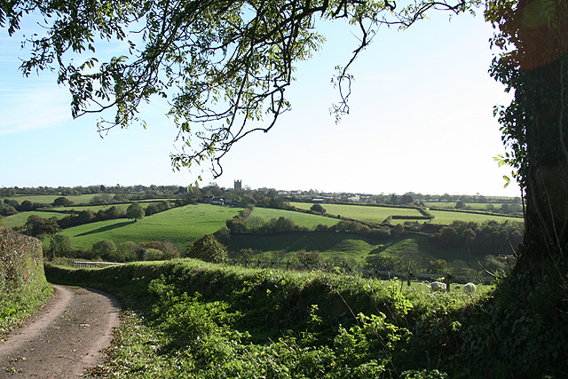 File:Witheridge, by Dart Raffe Farm - geograph.org.uk - 270998.jpg