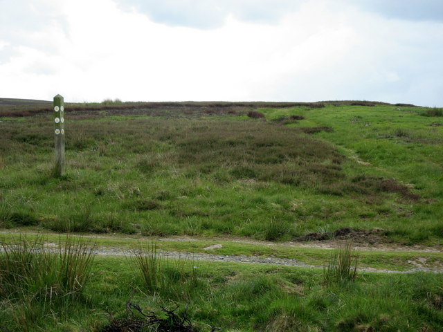 File:"Crossroads" of tracks on Howden Rigg - geograph.org.uk - 451210.jpg